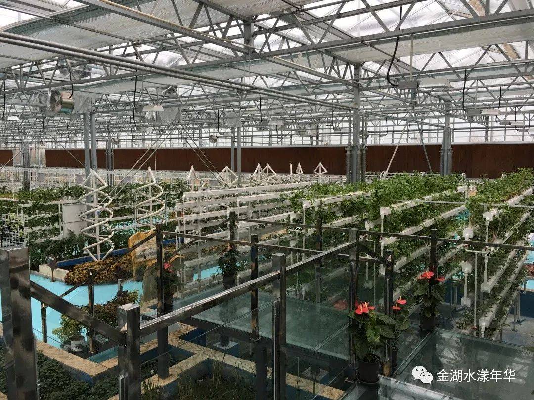 武汉富硒农产品(湖北富硒茶是绿茶吗)-硒宝网