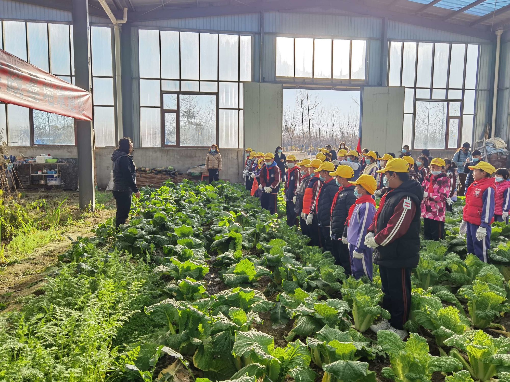 武汉富硒农产品(湖北富硒茶是绿茶吗)-硒宝网