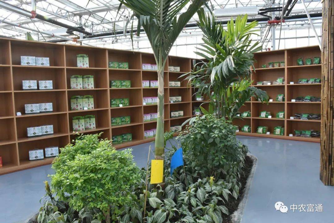 武汉富硒农产品(湖北富硒茶是绿茶吗)-硒宝网