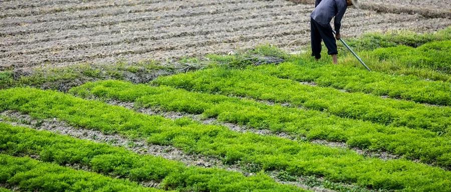 新疆富硒农产品(新疆富硒大米)-硒宝网