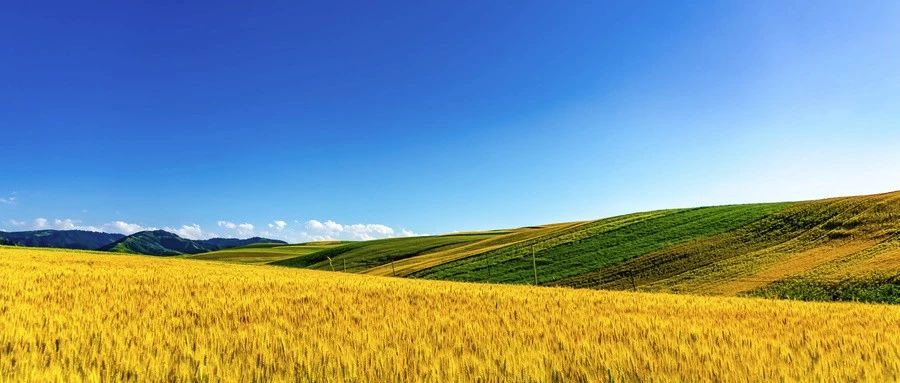 新疆富硒农产品(新疆富硒大米)-硒宝网