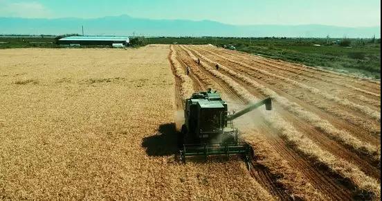 新疆富硒农产品(新疆富硒大米)-硒宝网