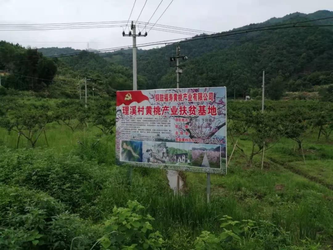 新疆富硒农产品(新疆富硒大米)-硒宝网