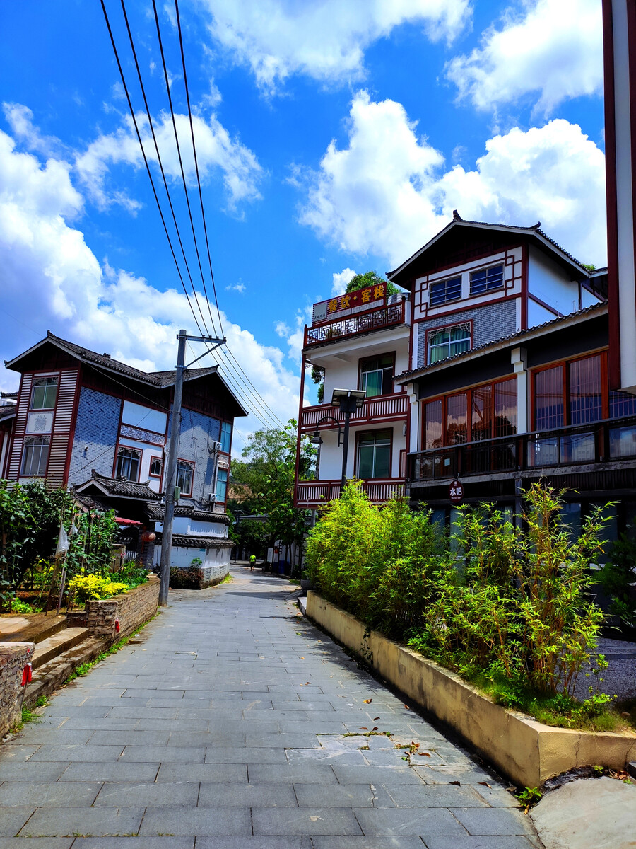 赣南富硒农产品（赣南富硒绿茶）-硒宝网