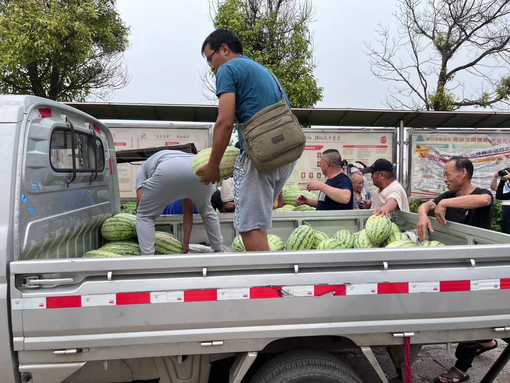 富硒农产品食品（农食品富硒产品是什么）-硒宝网