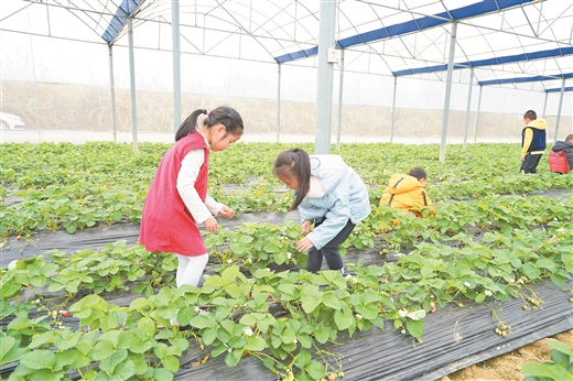 富硒农产品直供（富硒农产品销售平台）-硒宝网