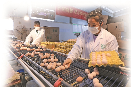 富硒农产品直供（富硒农产品销售平台）-硒宝网