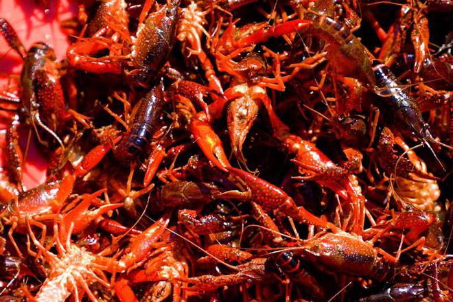 富硒农产品认定(富硒农产品认证)-硒宝网