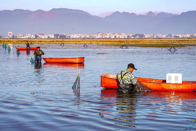 富硒农产品认定(富硒农产品认证)-硒宝网