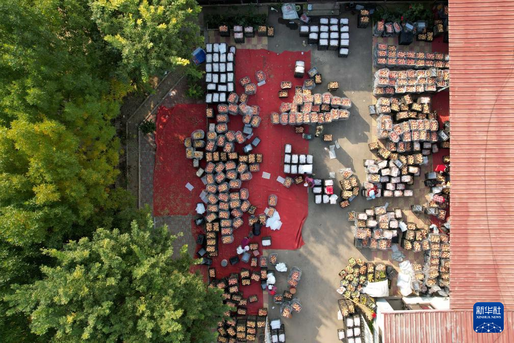 河北富硒农产品（河北富硒土壤范围）-硒宝网