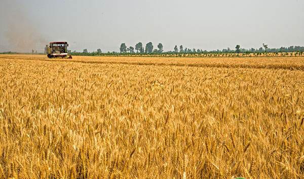 永城富硒农产品(永州富硒农业)-硒宝网