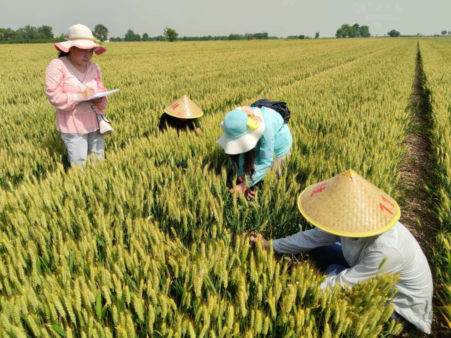 永城富硒农产品(永州富硒农业)-硒宝网