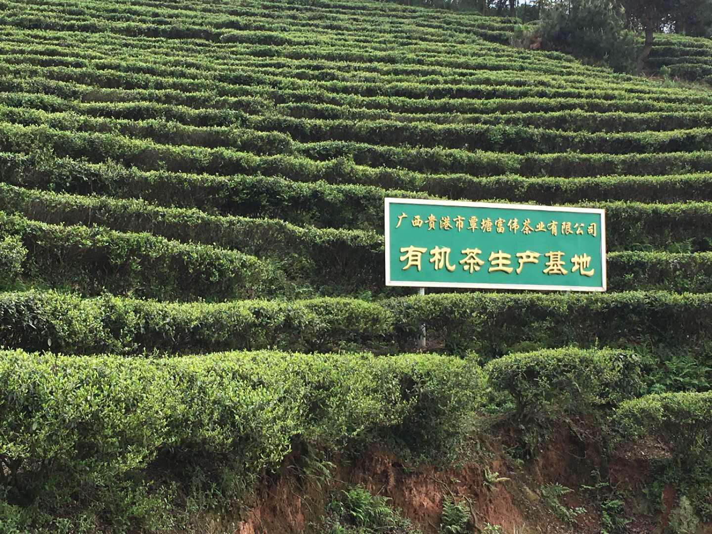 富硒农产品大会(富硒农业)-硒宝网