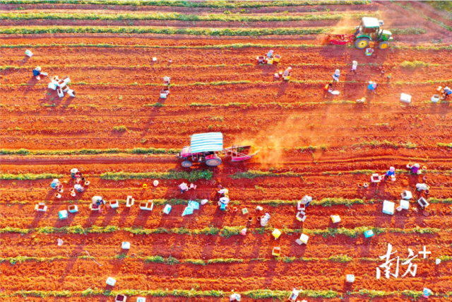 富硒农产品大会（农大会富硒产品吗）-硒宝网