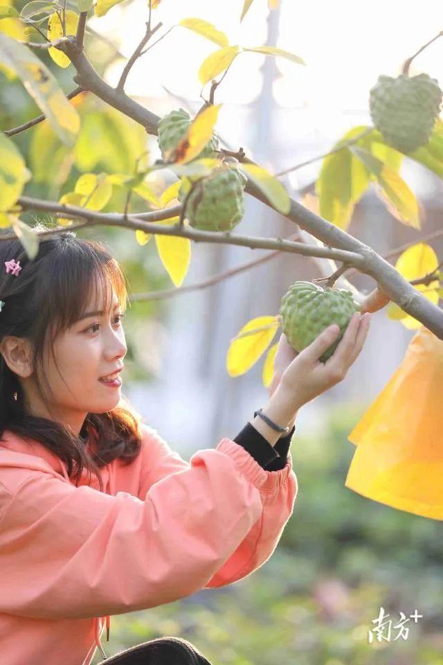 富硒农产品大会（农大会富硒产品吗）-硒宝网