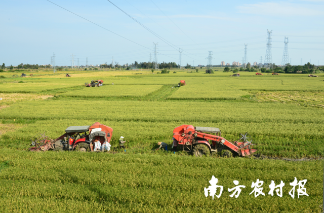 清远富硒农产品(富硒农业基地)-硒宝网