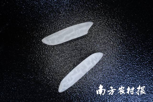 清远富硒农产品(富硒农业基地)-硒宝网