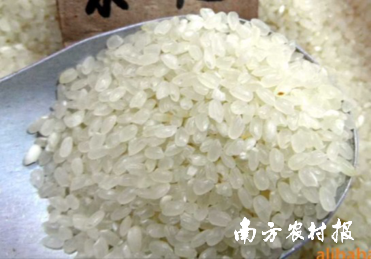 清远富硒农产品(富硒农业基地)-硒宝网