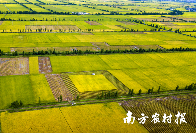 清远富硒农产品(富硒农业基地)-硒宝网