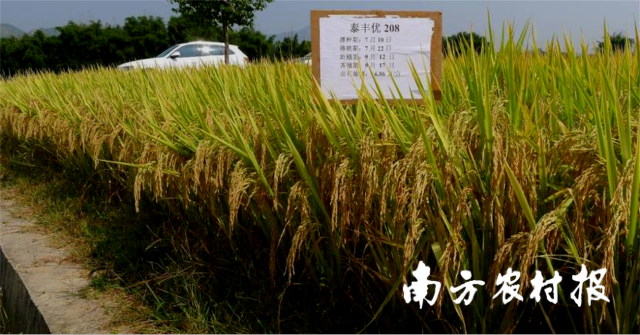 清远富硒农产品(富硒农业基地)-硒宝网