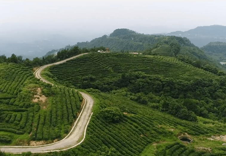 正宗富硒农产品(富硒农业)-硒宝网