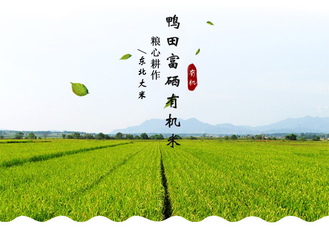 打响富硒农产品(富硒农场产品)-硒宝网