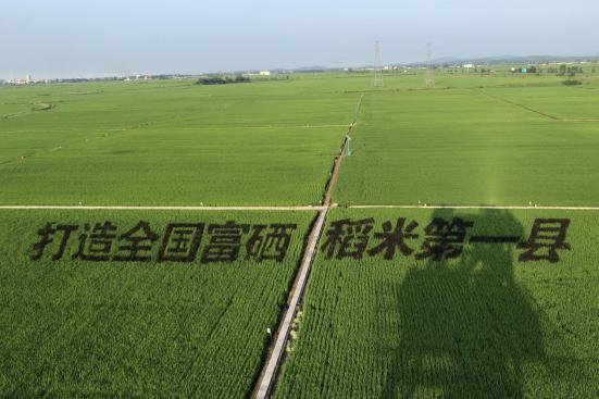 打响富硒农产品(富硒农场产品)-硒宝网