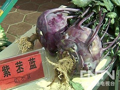 高原富硒农产品(富硒的农产品)-硒宝网