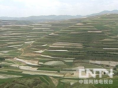 高原富硒农产品(富硒的农产品)-硒宝网