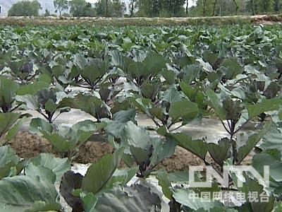 高原富硒农产品(富硒的农产品)-硒宝网