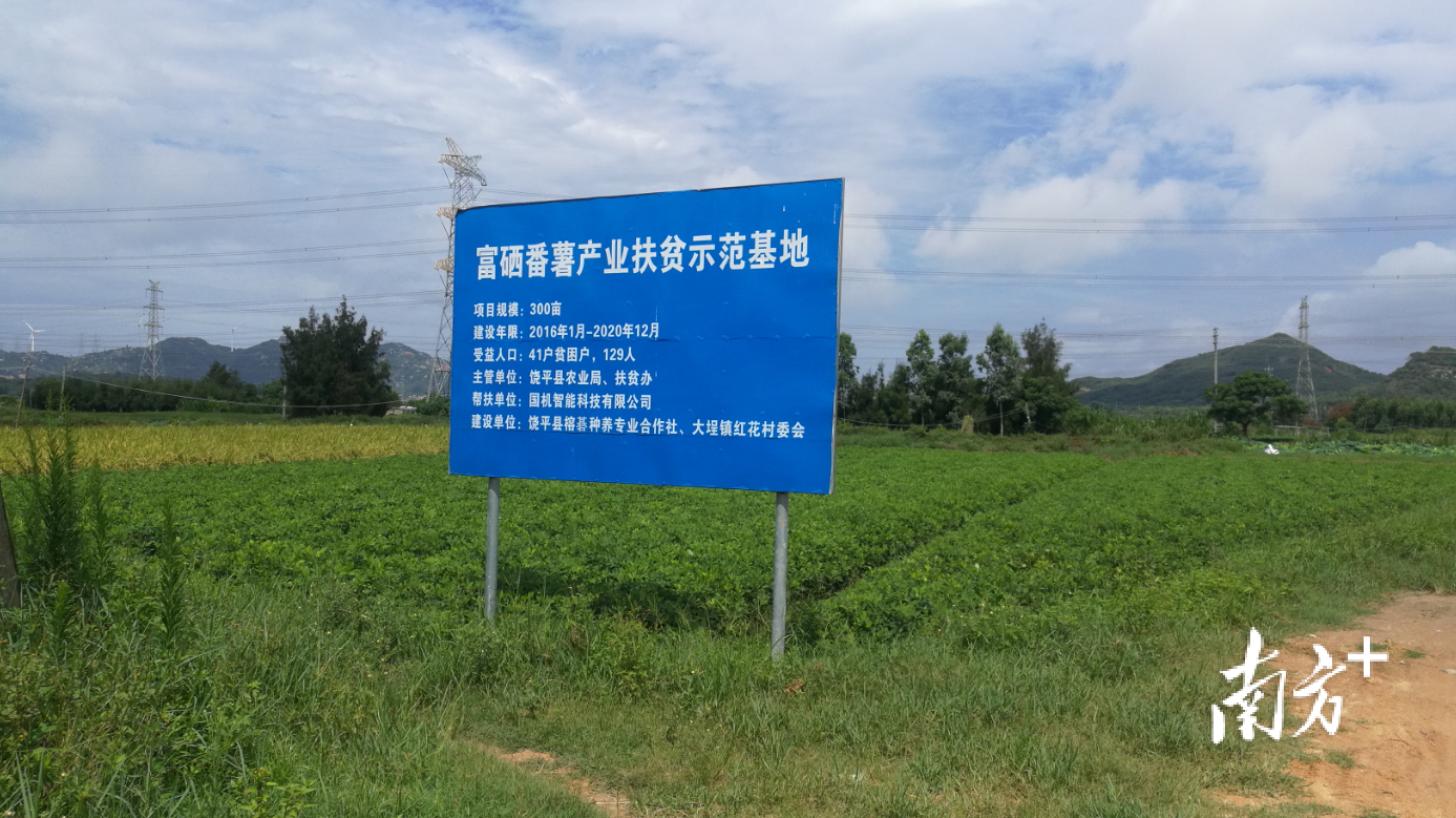 打响富硒农产品（富硒农产品产业链）-硒宝网