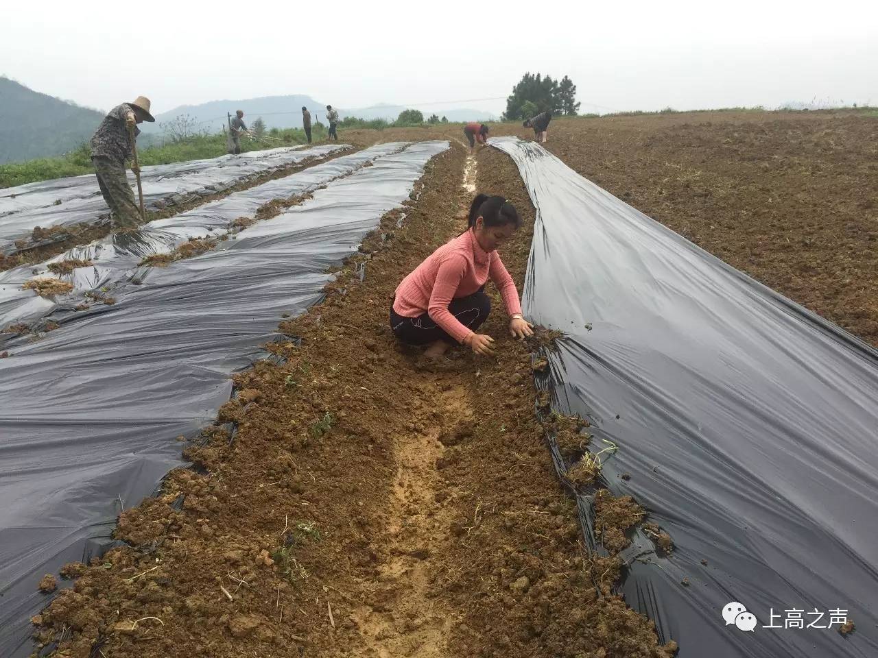 打响富硒农产品（富硒农产品产业链）-硒宝网