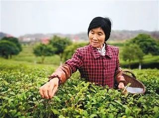 安康富硒农产品（安康富硒食品产业园）-硒宝网