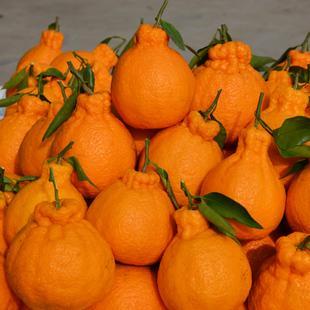 正宗富硒农产品(富硒农产品品牌)-硒宝网