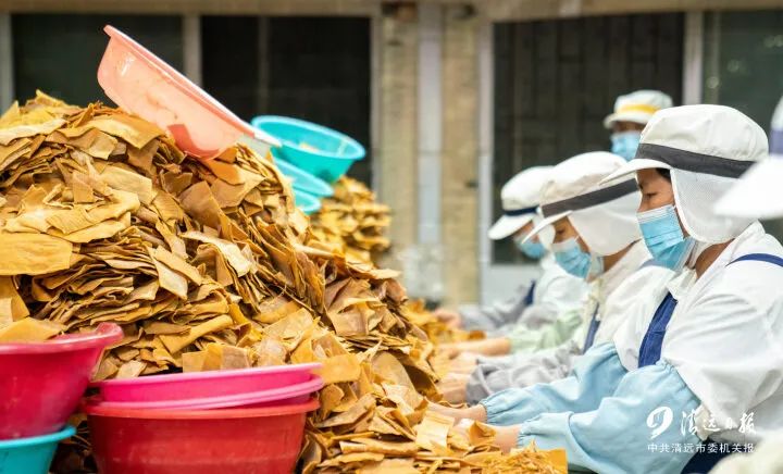 清远富硒农产品（富硒生态农业）-硒宝网