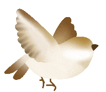 清远富硒农产品（富硒生态农业）-硒宝网