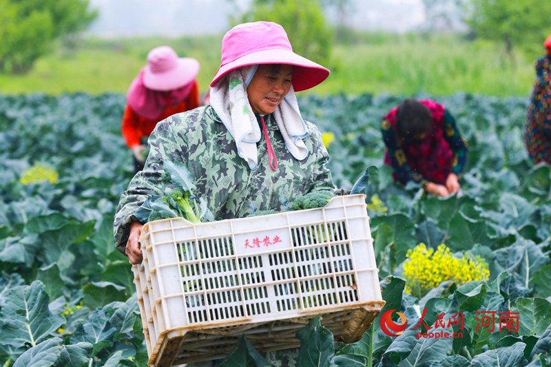 新田富硒农产品(新田富硒产品在哪个村)-硒宝网