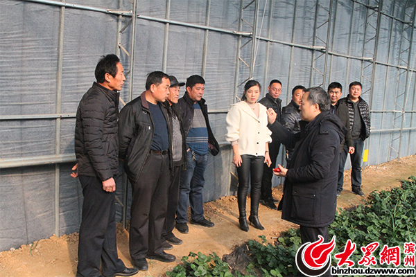 富硒农产品价值(富硒的农产品)-硒宝网