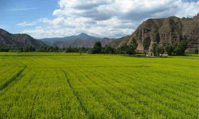 传统富硒农产品(富硒农产品与普通农产品差别)-硒宝网