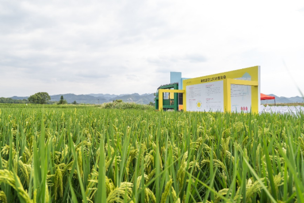 富硒认证农产品(富硒农产品认证机构)-硒宝网