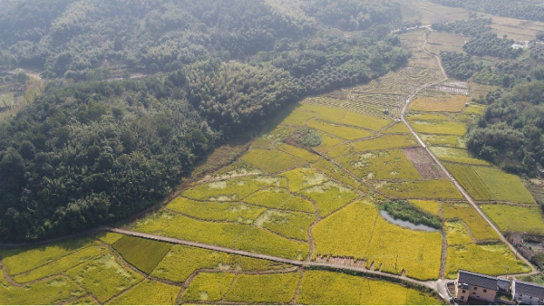 富硒认证农产品(富硒农产品认证机构)-硒宝网