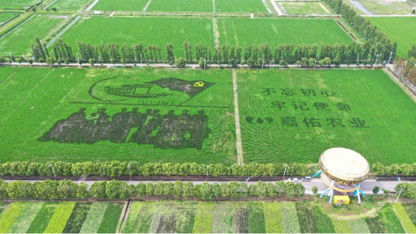 富硒认证农产品(富硒农产品认证机构)-硒宝网