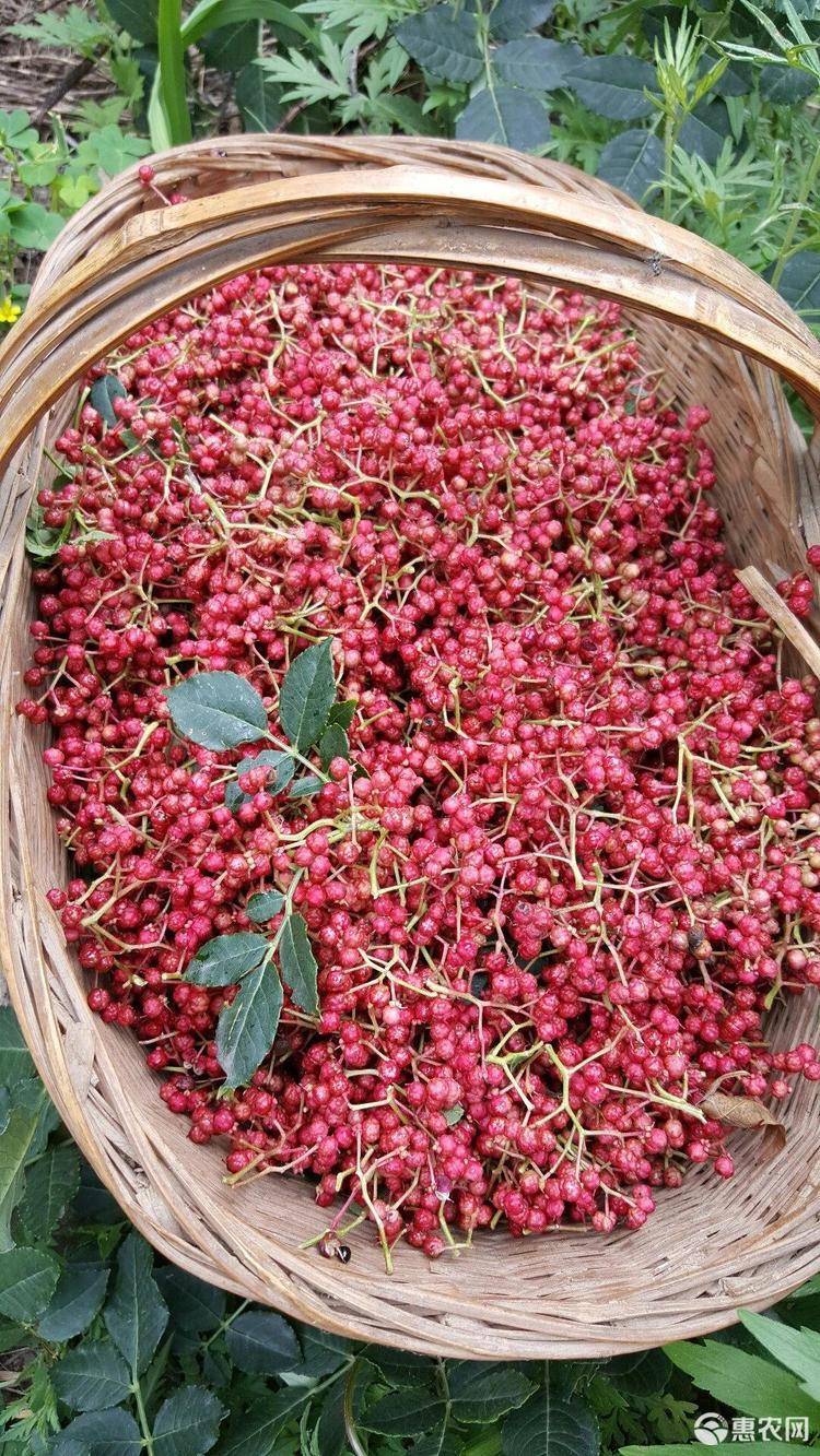 富硒农产品股份(富硒农产品企业)-硒宝网