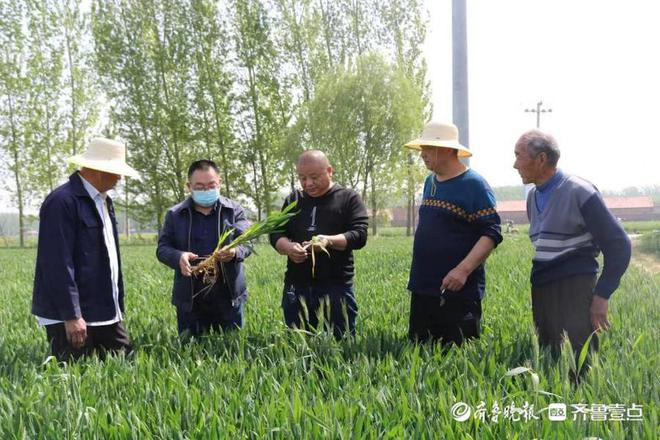 渭南富硒农产品（陕西富硒）-硒宝网