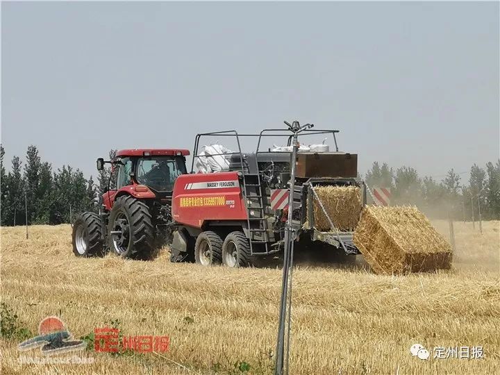 渭南富硒农产品（陕西富硒）-硒宝网