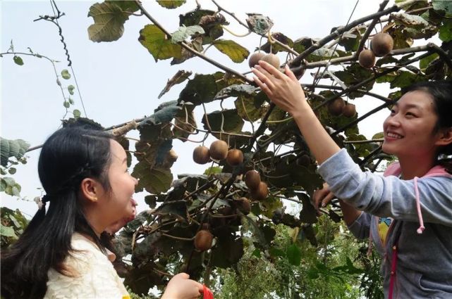 重庆市富硒产品（重庆市富硒产品生产厂家）-硒宝网