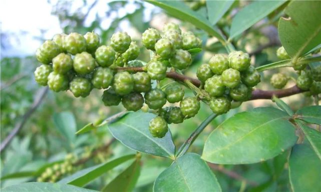 重庆市富硒产品（重庆市富硒产品生产厂家）-硒宝网