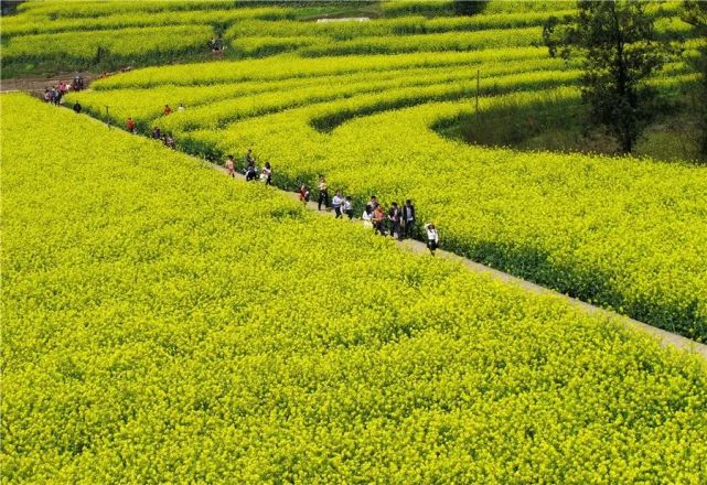 重庆市富硒产品（重庆市富硒产品生产厂家）-硒宝网