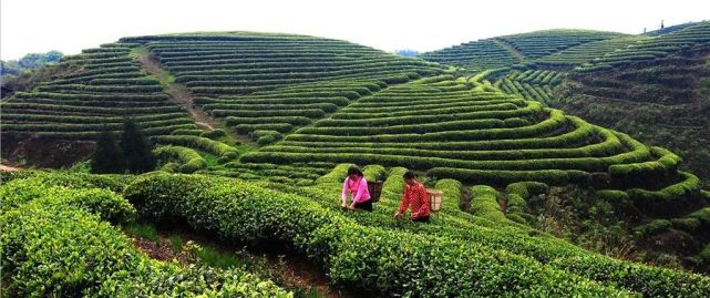 重庆市富硒产品（重庆市富硒产品生产厂家）-硒宝网