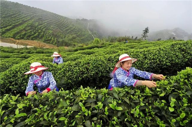 重庆市富硒产品（重庆市富硒产品生产厂家）-硒宝网
